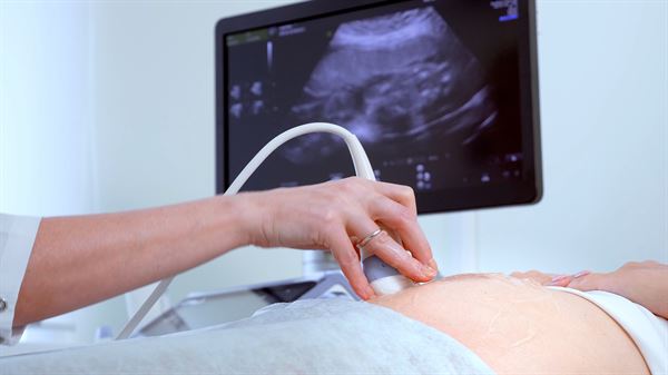 WVU Hospitals’ sonography program prepping students for rewarding health careers