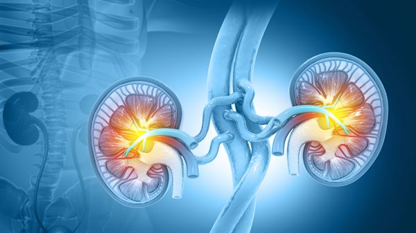 WVU Medicine outlines key signs, treatment, and prevention for kidney stones 
