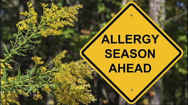 Achoo! How to deal with seasonal allergies