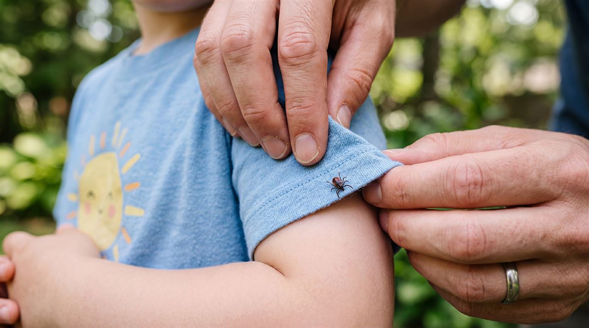 Finding Ticks 6.8.26.jpg