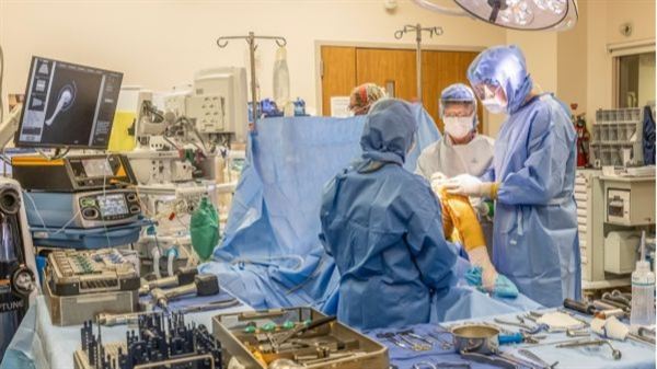 PCH 'High Performing' in Knee Replacement Says U.S. News