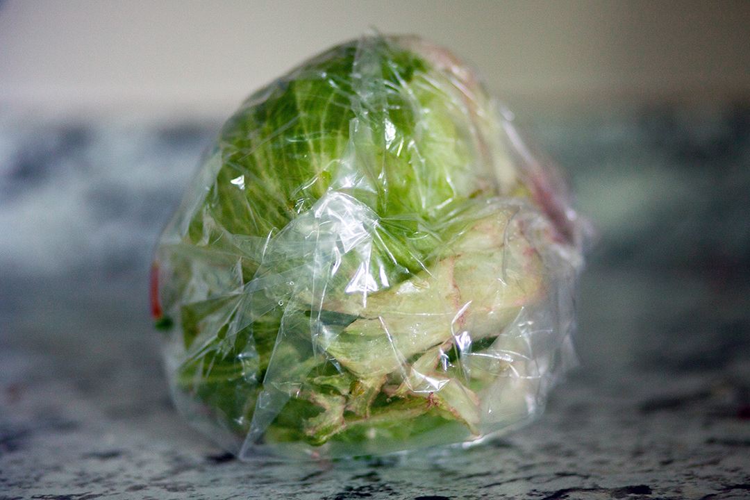 Cyclospora pic 2.jpg