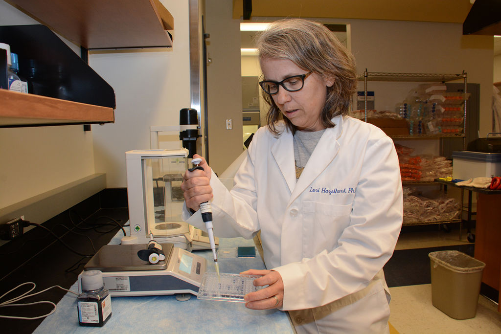 Lori Hazlehurst, Ph.D., works in her lab.
