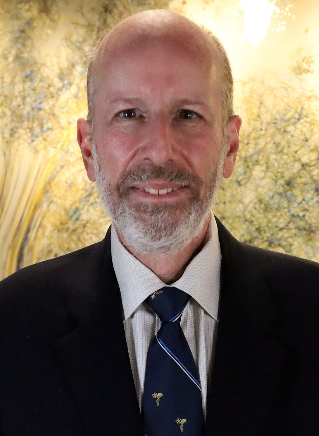 p-david-adelson-md