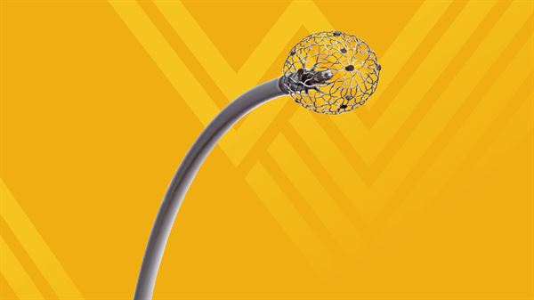 WVU Heart and Vascular Institute first in region to use new technology for cardiac arrhythmia ablation 